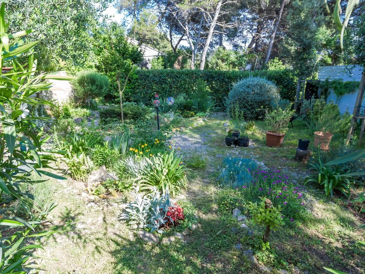 Spacious Holiday Home In Molat With Pool Brgulje