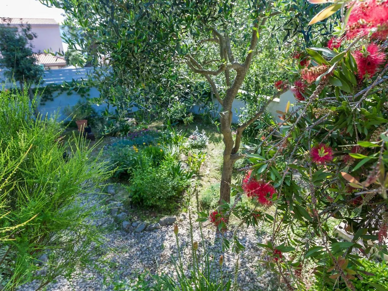 Spacious Holiday Home In Molat With Pool Brgulje 0*,